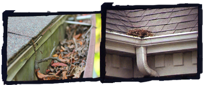 Yards By Us - Potential problems from clogged gutters.