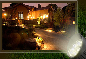 Yards By Us - Landscape Lighting for walkways and uplighting on trees