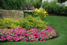 Plant Bed Care by Yards by Us